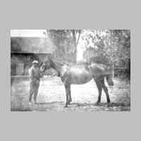 028-0026 Ein edles Zuchtpferd auf dem Hof von Kurt Neumann im Jahre 1934..jpg